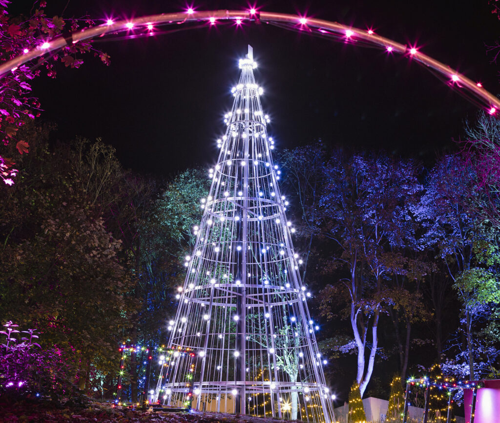 Springfields Outlet & Leisure Winter Wonderland Walk Springfields Outlet & Leisure Winter Wonderland Walk
