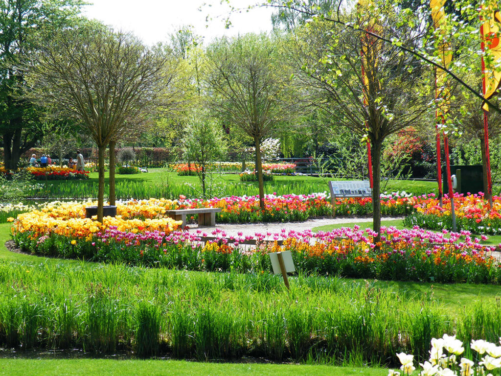 Springfields Festival Gardens